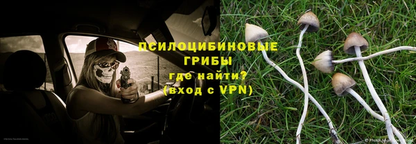 марки lsd Богородицк