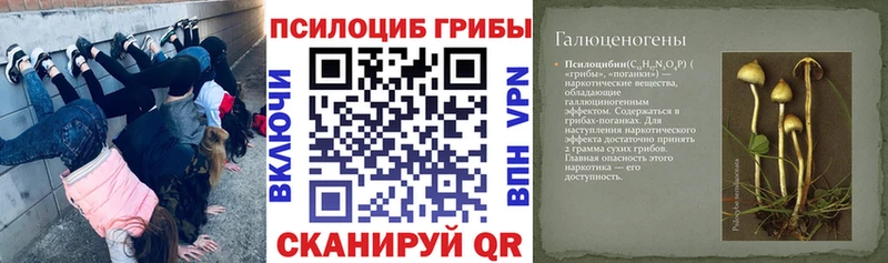 ОМГ ОМГ как зайти  Кондрово  Галлюциногенные грибы прущие грибы 